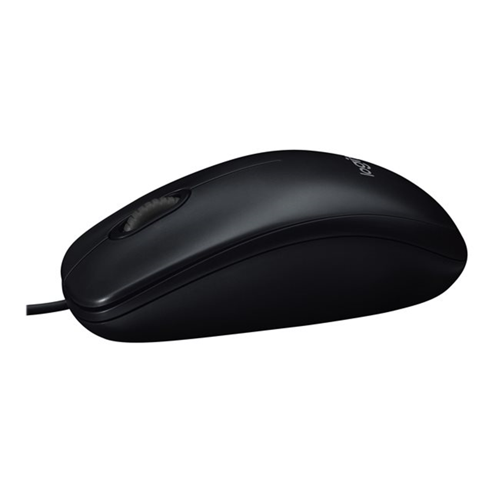 Logitech B100