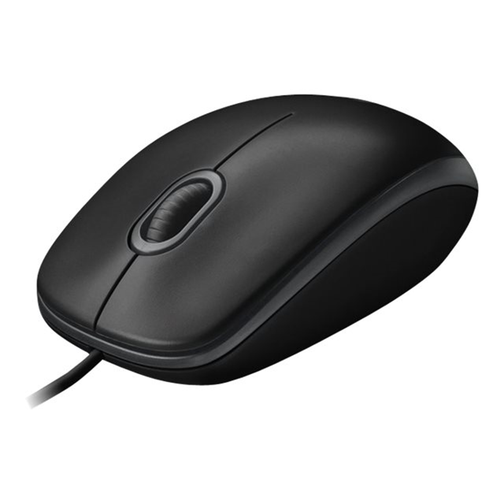 Logitech B100