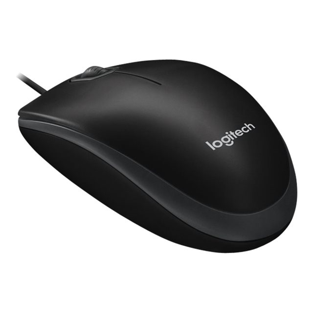 Logitech B100